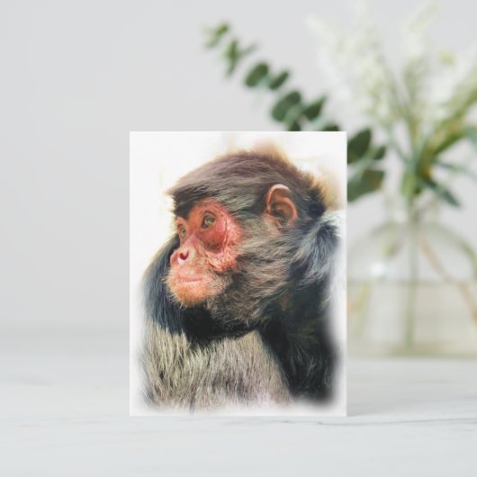 SPIDER MONKEY BRIEFKAART (Staand voorkant)