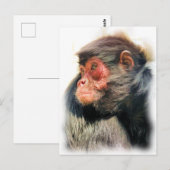 SPIDER MONKEY BRIEFKAART (Voorkant / Achterkant)