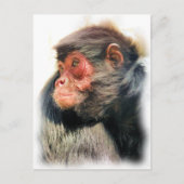 SPIDER MONKEY BRIEFKAART (Voorkant)