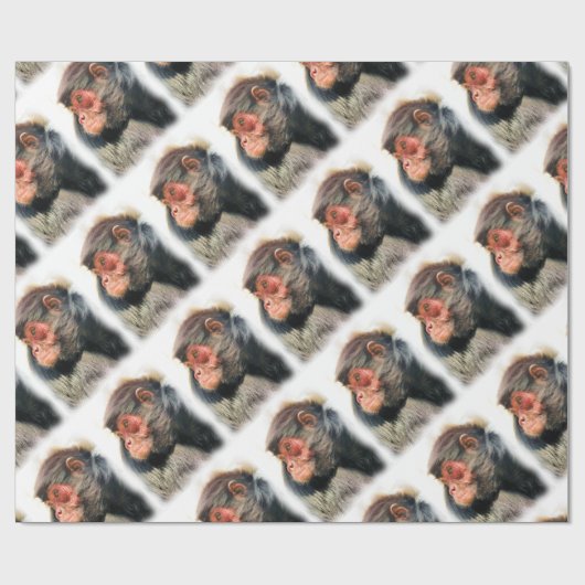 SPIDER MONKEY CADEAUPAPIER (Vlak)