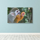 Spider Monkey Canvas Afdruk (Insitu (Houten vloer))