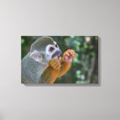 Spider Monkey Canvas Afdruk (Voorkant)