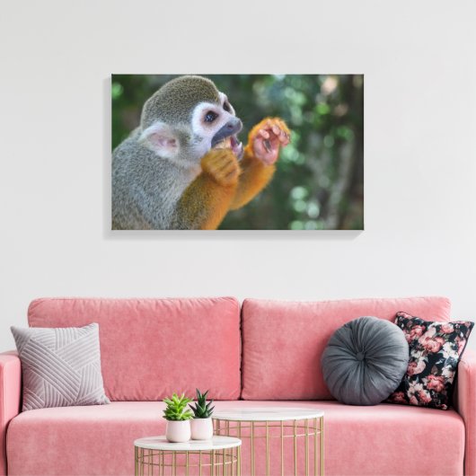 Spider Monkey Canvas Afdruk (Insitu (Woonkamer))