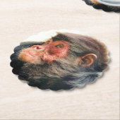 SPIDER MONKEY KARTONNEN ONDERZETTERS (Gekanteld)