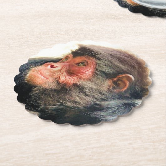 SPIDER MONKEY KARTONNEN ONDERZETTERS (Gekanteld)