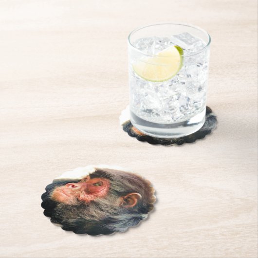 SPIDER MONKEY KARTONNEN ONDERZETTERS (Insitu)