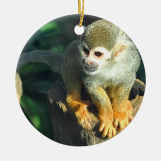 Spider Monkey Keramisch Ornament (Voorkant)