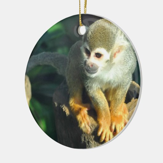 Spider Monkey Keramisch Ornament (Links)