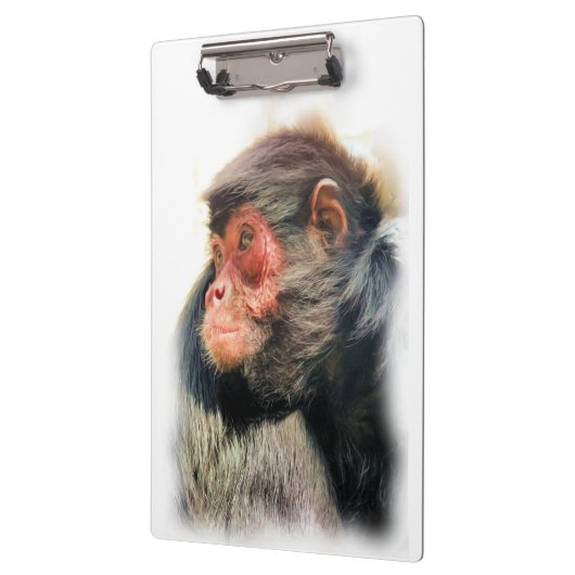 SPIDER MONKEY KLEMBORD (Links)