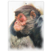 SPIDER MONKEY KLEMBORD (Achterkant)