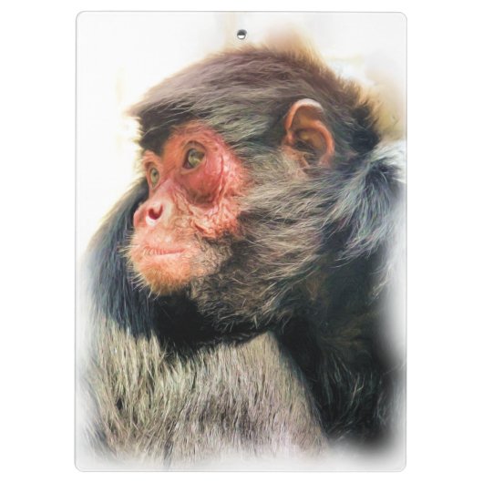 SPIDER MONKEY KLEMBORD (Achterkant)