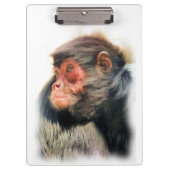 SPIDER MONKEY KLEMBORD (Voorkant)