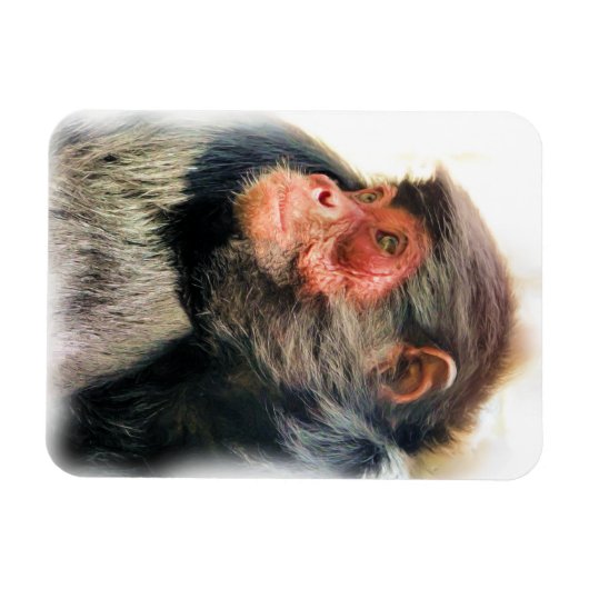 SPIDER MONKEY MAGNEET (Horizontaal)