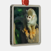 Spider Monkey Metalen Ornament (Rechts)