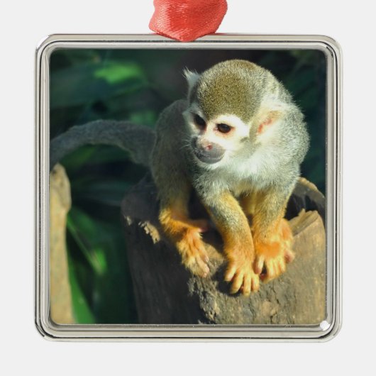 Spider Monkey Metalen Ornament (Voorkant)