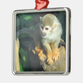 Spider Monkey Metalen Ornament (Links)