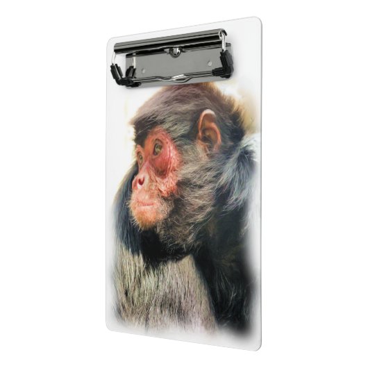 SPIDER MONKEY MINI KLEMBORD (Angled2)