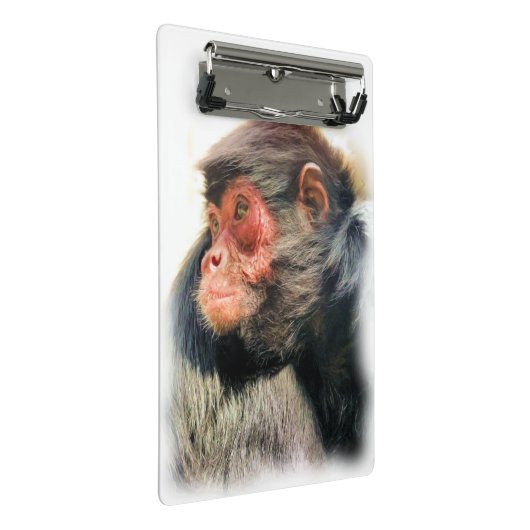 SPIDER MONKEY MINI KLEMBORD (Schuin)