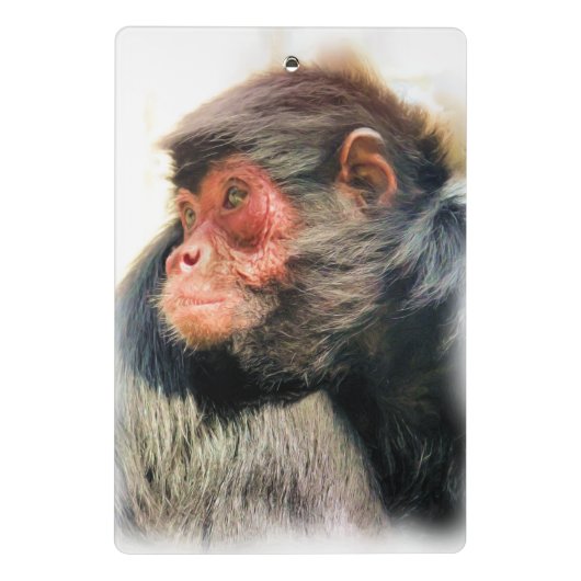 SPIDER MONKEY MINI KLEMBORD (Achterkant)