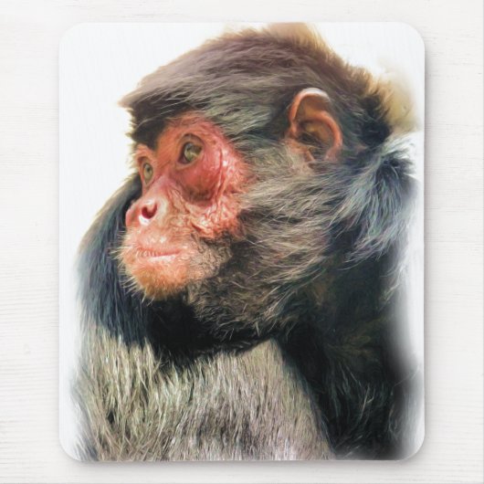 SPIDER MONKEY MUISMAT (Voorkant)