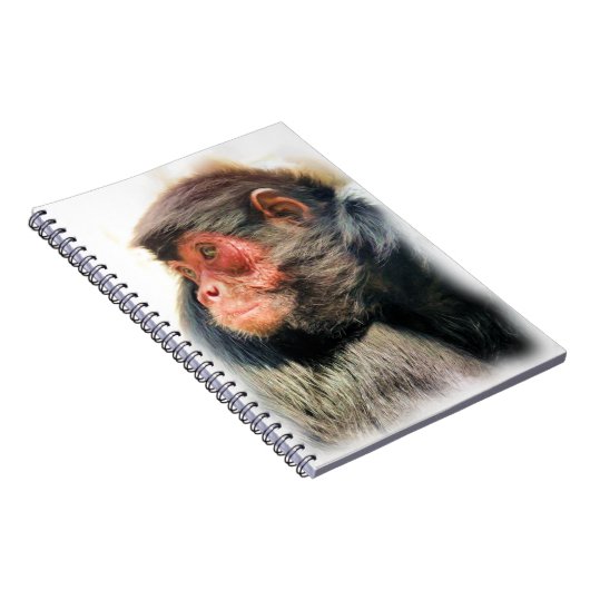 SPIDER MONKEY NOTITIEBOEK (Rechterzijde)
