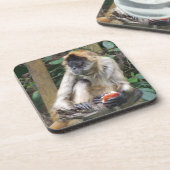 Spider Monkey-Onderzetter Bier Onderzetter (Linkerzijde)