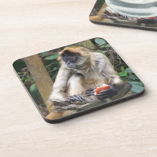 Spider Monkey-Onderzetter Bier Onderzetter (Linkerzijde)