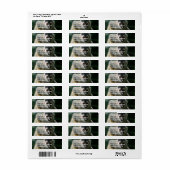 Spider Monkey Return-adreslabel Etiket (Full Sheet)