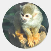 Spider Monkey Ronde Sticker (Voorkant)