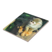 Spider Monkey Tegeltje (Zijkant)