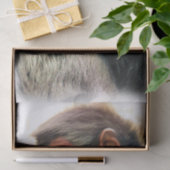 SPIDER MONKEY TISSUEPAPIER (Geschenk)