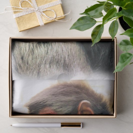 SPIDER MONKEY TISSUEPAPIER (Geschenk)