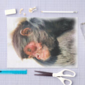 SPIDER MONKEY TISSUEPAPIER (Craft)