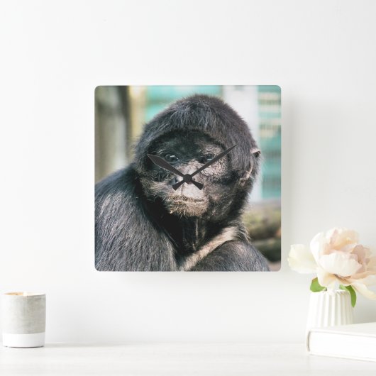 SPIDER MONKEY VIERKANTE KLOK (Huis)