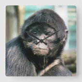 SPIDER MONKEY VIERKANTE KLOK (Voorkant)