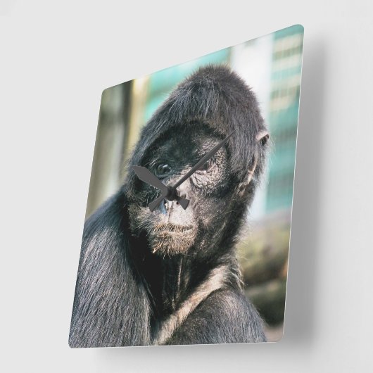 SPIDER MONKEY VIERKANTE KLOK (Hoek)