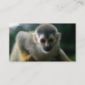 Spider Monkey-Visitekaartje Visitekaartje (Achterkant)