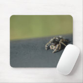 Spider Muismat (Met muis)