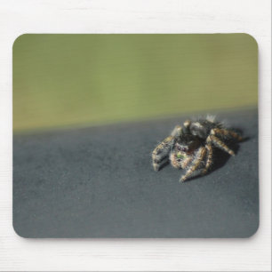 Spider Muismat