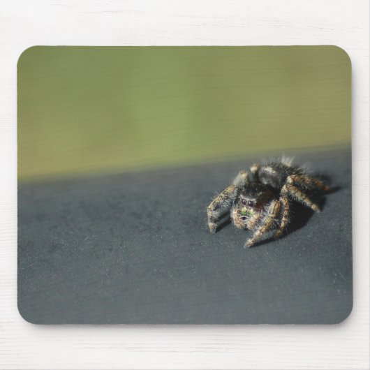 Spider Muismat (Voorkant)