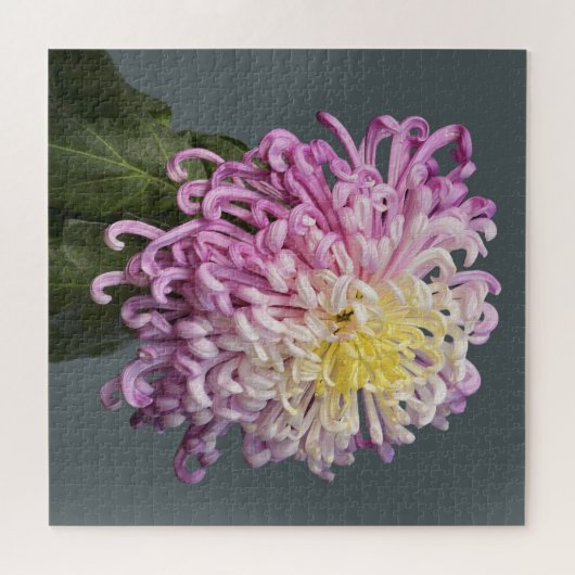 Spider Mum Puzzle Legpuzzel (Horizontaal)