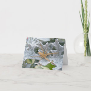 Spider op Dusty Miller Note Kaart