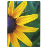 Spider op een zonnebloem klembord (Achterkant)