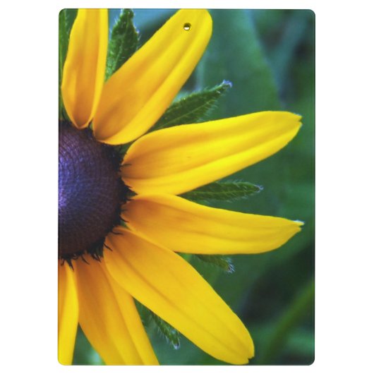 Spider op een zonnebloem klembord (Achterkant)