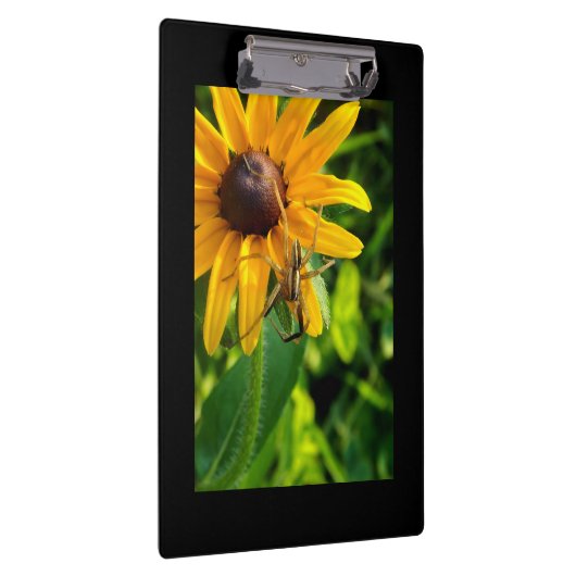 Spider op een zonnebloem klembord (Rechts)