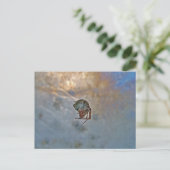 Spider op internet briefkaart (Staand voorkant)