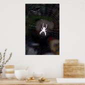 Spider op Web 2 Poster (Keuken)