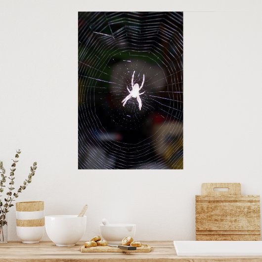 Spider op Web 2 Poster (Keuken)