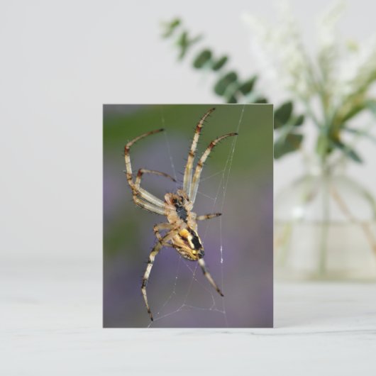 Spider op zijn cobweb briefkaart (Staand voorkant)