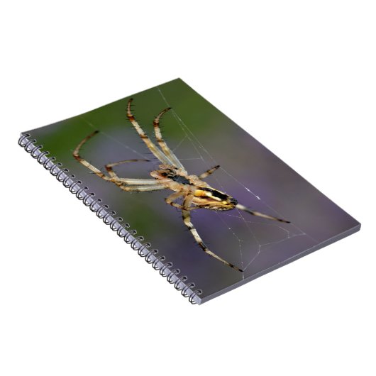 Spider op zijn cobweb notitieboek (Rechterzijde)